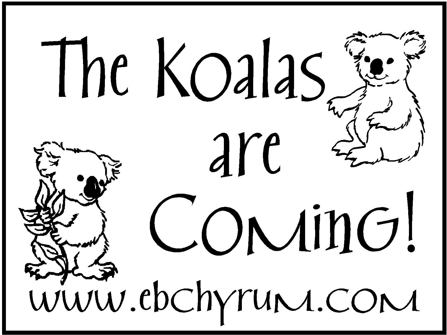 koala